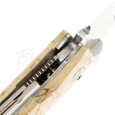 Нож складной полуавтоматический FOX KNIVES Terzuola Sicilian сталь N690Co рукоять Карельская береза фото 4