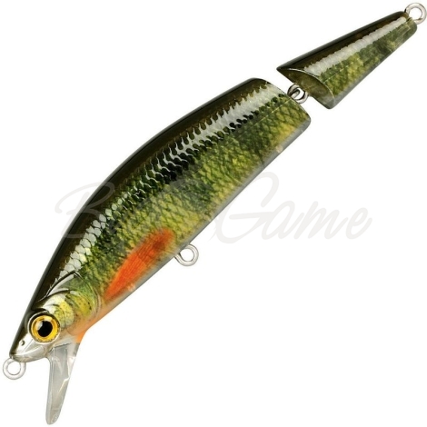 Воблер SPRO Ikiru Jointed 110F цв. Green Perch фото 1