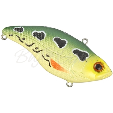 Воблер SPRO Aruku Shad 75 WR SP цв. Leopard Frog фото 1