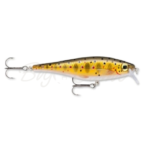 Воблер RAPALA BX Minnow 10 см цв. TR фото 1