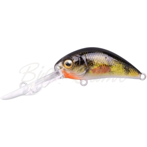 Воблер SPRO Ikiru Baby Crank-DD 40 FL цв. Y-Perch фото 1