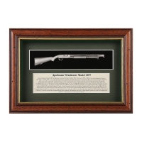 Дисплей TMB Winchester Model 1897 280 x 173
