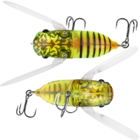 sight clear insect