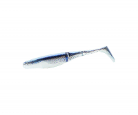 #307 - Ralph's shad