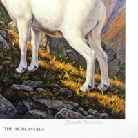 Картина Todds репродукции Highlanders (белые бараны) превью 2