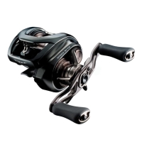 Катушка мультипликаторная DAIWA 24 Steez SV TW 100L