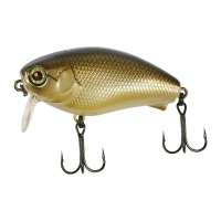 noike gold bera