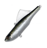 IL-Anchovy