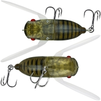 lake hibara spring cicada