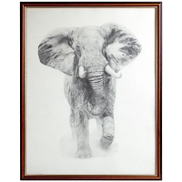 Картина Репродукция «Слон африканский»
