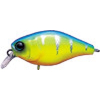 blue back tiger