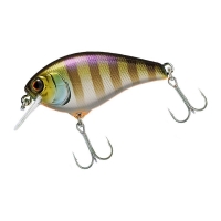 blue gill
