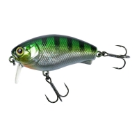 blue gill