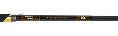 Спиннинг DAIWA Morethan Branzino EX AGS 87ML тест 7 - 35 г превью 3