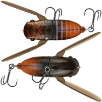 lake nojiri spring cicada