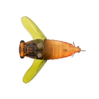 Воблер SMITH Bisen (цикада) 38F код цв. 12 превью 2