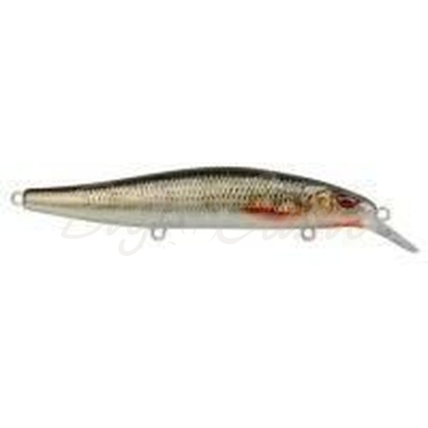 Воблер SPRO Ikiru Minnow 115F цв. Roach фото 1