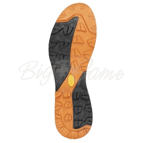 Ботинки горные AKU Rock DFS Mid GTX цвет Black / Orange фото 2
