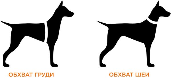 dogs sizes