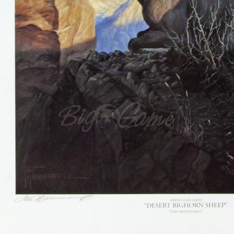 Картина T. Mansanarez репродукция Desert Bighorn Sheep  фото 3