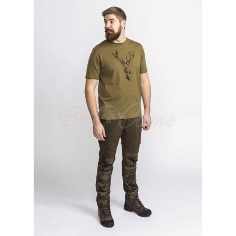 Футболка PINEWOOD Red Deer T-Shirt цвет Hunting Olive фото 2