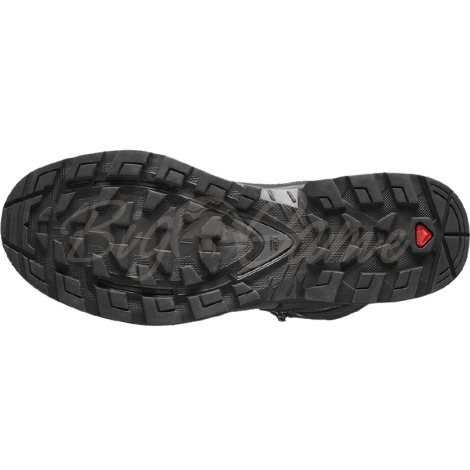 Ботинки SALOMON Quest 4 GTX цвет Magnet / Black / Quarry фото 2