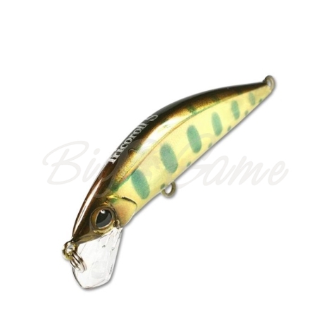 Воблер JACKALL TIMON Tricoroll 83S цв. gold yamame фото 2