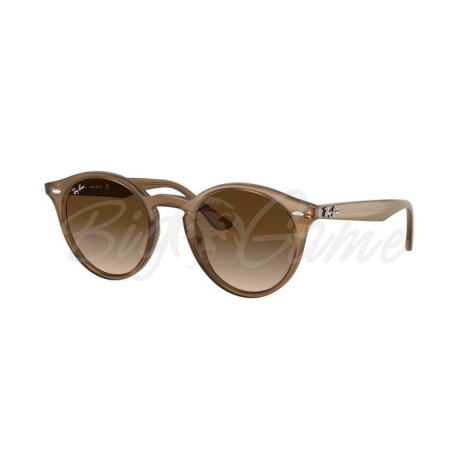 Очки солнцезащитные RAY-BAN RB2180 цв. Коричневый цв. ст. Коричневый фото 1