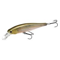 Flake Flake Golden Sexy Minnow