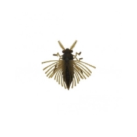 Жук BAIT BREATH NoLook Bug (2 шт.) код цв. 606 madbug превью 1