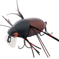 mat red timber beetle
