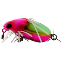 uv green ground beetle