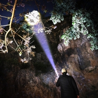 Фонарь тактический CLAYMORE Dynalight цвет Black превью 3