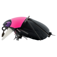 pink heads