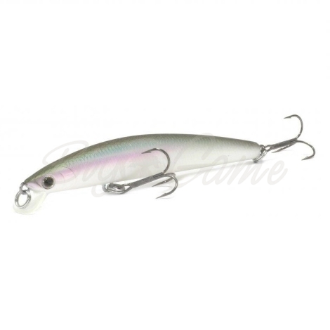 Воблер DAIWA TD Minnow 120SP цв. Matt Wakasagi фото 1