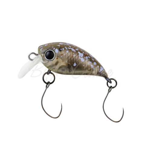 Воблер DAIWA Presso Wabcra Jr. 25F SR цв. Splash Olive Pearl фото 1