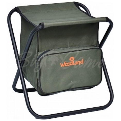Стул WOODLAND Compact Bag цвет зеленый фото 1