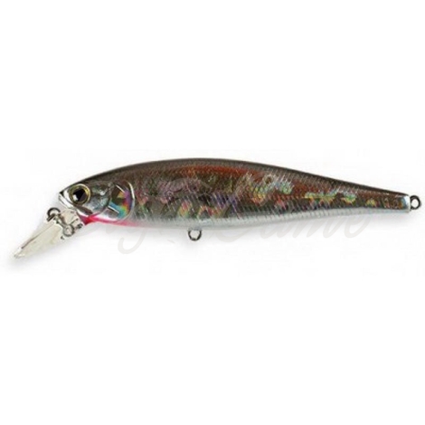 Воблер LUCKY CRAFT Pointer 100 SP цв. Bait Fish Silver фото 1