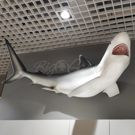 Сувенир HUNTSHOP Рыба серая акула целая 200 см фото 2