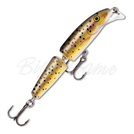 Воблер RAPALA Scatter Rap Jointed 9 см цв. TR фото 1