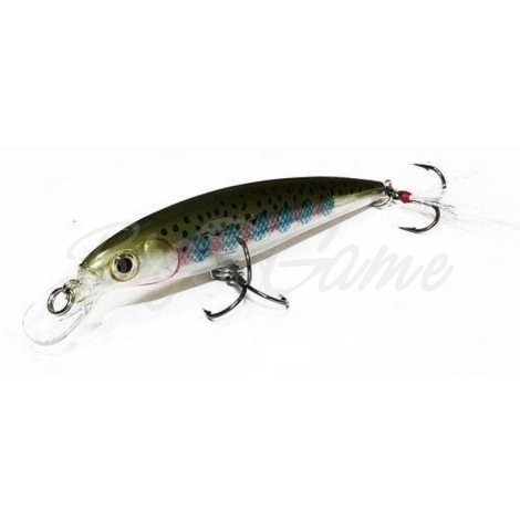 Воблер RAPALA X-Rap 10 см код цв. RT фото 1