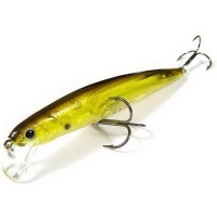 Aurora Ghost Golden Shiner