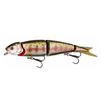 06-Rainbow Smolt