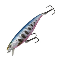 Blue Pink Smolt