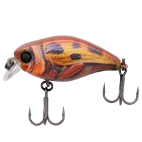 rt custard bug