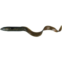 24-Motor Oil Eel