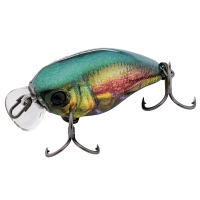 rt metallic fly