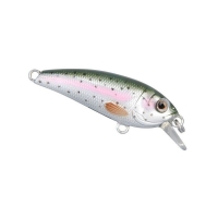 Sl Rainbow Trout