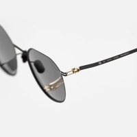 Очки солнцезащитные WHITELAB WLLABBR Lane цв. Black цв. ст. Bronze превью 3