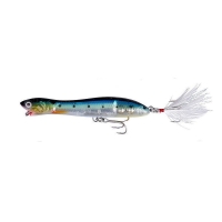 02-Sardine
